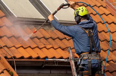 Démoussage et hydrofuge de toiture à Miéry